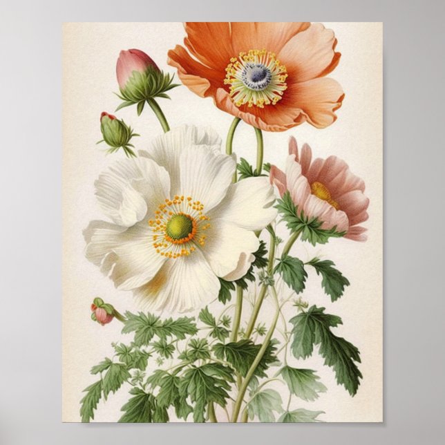 Vintage Poppies Poster (Front)
