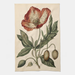 Vintage Poppy Botanical Illustration Kitchen Towel