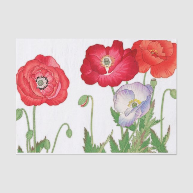 Vintage poppy flower, Decoupage Tissue Paper (Front)