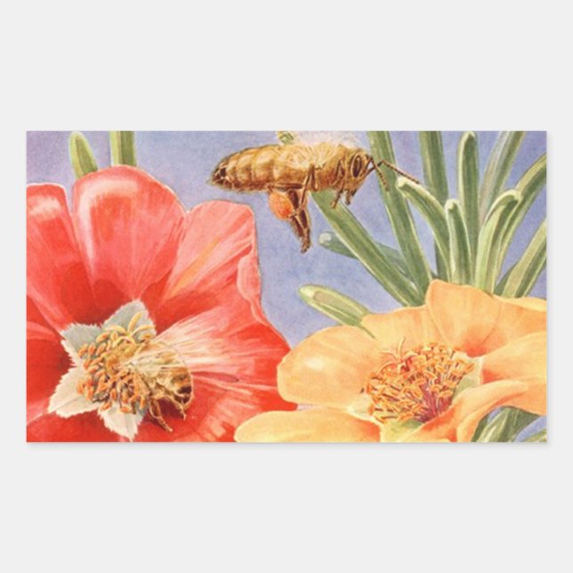 Vintage Poppy Flowers Honey Bee Pollen Stickers (Front)