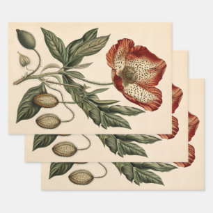 Vintage Poppy Illustration Furniture Decoupage Wrapping Paper Sheet