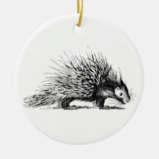 Vintage Porcupine Illustration - 1800's Porcupines Ceramic Ornament