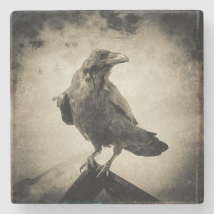 Vintage Portrait of Proud Perched Black Raven Stone Coaster