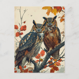 Vintage Portrait of two Owls Postcard