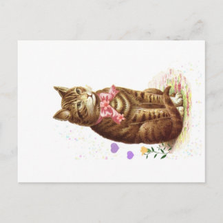 Vintage Postcard Classic Tabby Cat With Pink Bow