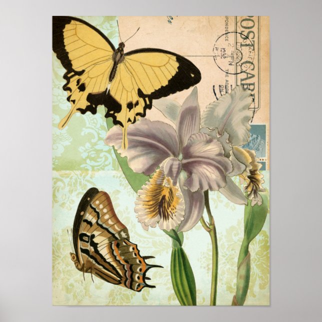 Vintage Postcard with Butterflies and Flowers Poster (Front)