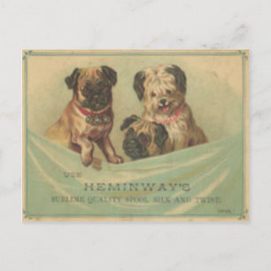 Vintage Postcard With Cute Scrap Book Dogs
