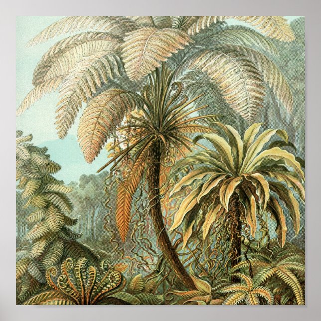 Vintage Poster (Front)