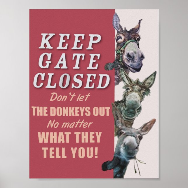 Vintage Poster (Front)