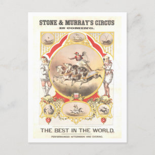 Vintage Poster for Stone & Murray Circus Postcard