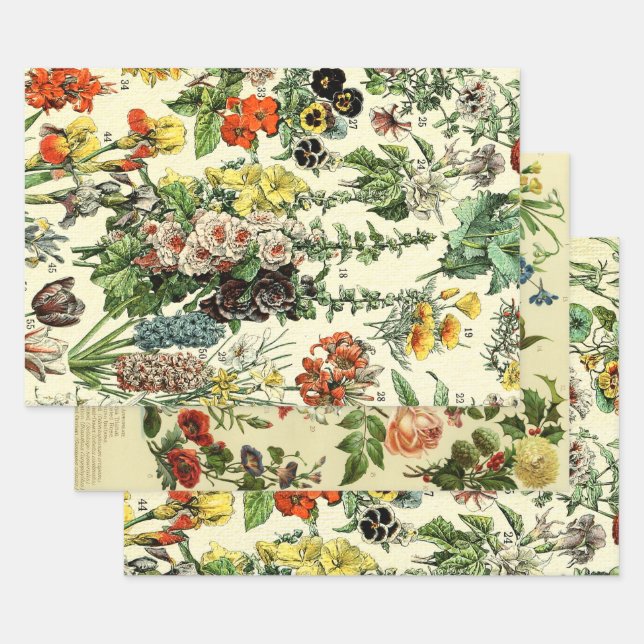Vintage Poster Hollyhock Fleurs Wrapping Paper Sheet (Set)
