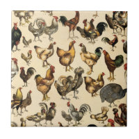 Vintage Poultry of the World Chicken Breed Art