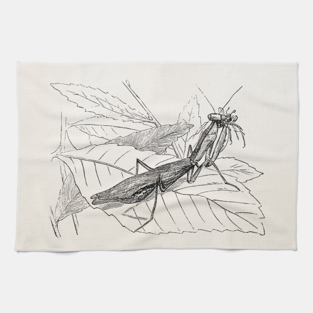 Vintage Praying Mantis Insect Template Kitchen Towel (Horizontal)