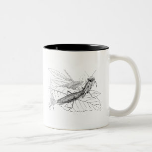 Vintage Praying Mantis Insect Template Two-Tone Coffee Mug