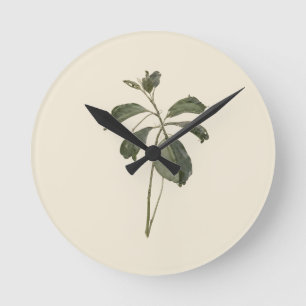 Vintage Pressed Botanical Green Leaf Specimen Round Clock