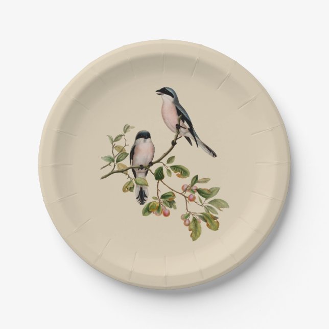 Vintage Pretty Birds on Beige Paper Plate (Front)