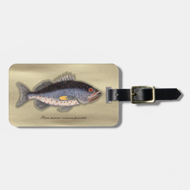 Vintage Print "Bahama Rock Fish" Luggage Tag (Front Horizontal)