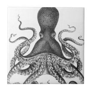 Vintage Print Octopus Tile