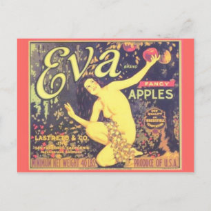 Vintage Produce Crate Label Postcard