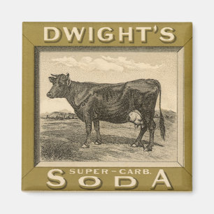 Vintage Product Label, Dwight's Bicarbonated Soda Magnet