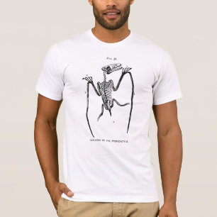 Vintage Pterodactyl Fossil T-Shirt