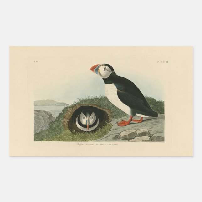 Vintage Puffin Illustration Sticker (Front)