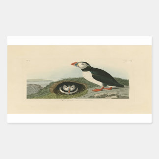 Vintage Puffin Illustration Sticker