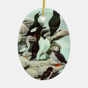 Vintage Puffins and Aquatic Birds by Louis Fuertes Ceramic Ornament