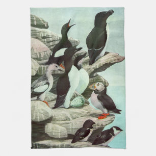 Vintage Puffins and Aquatic Birds by Louis Fuertes Kitchen Towel