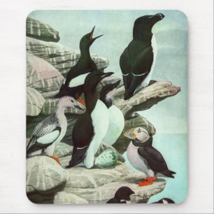 Vintage Puffins and Aquatic Birds by Louis Fuertes Mouse Pad