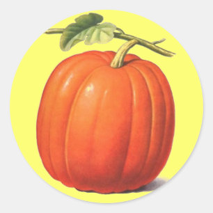 Vintage Pumpkin Classic Round Sticker