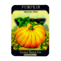 Vintage Pumpkin Seeds Packet - Magnet
