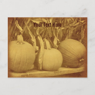 Vintage Pumpkins Cornstalks Customizable Postcard