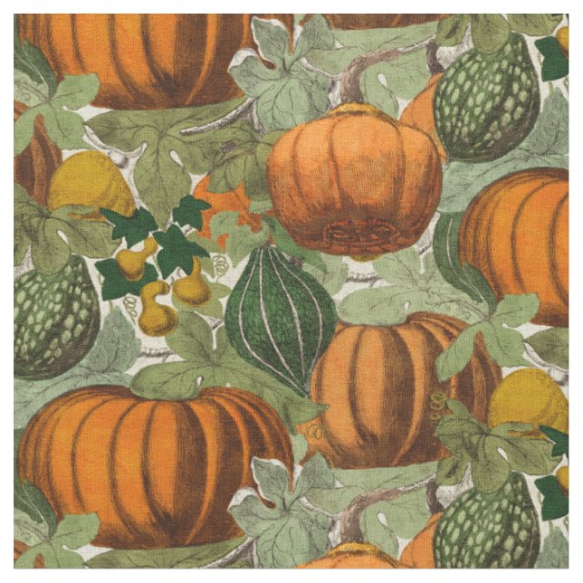 Vintage Pumpkins & Gourds Fabric (Close Up)