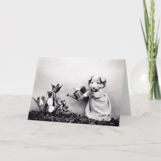 Vintage Puppies and Kittens Note Cards (Front)