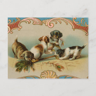 Vintage Pups Postcard