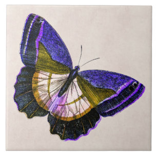 Vintage Purple and Gold Butterfly Illustration Tile