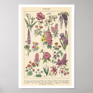 Vintage Purple Flowers Poster