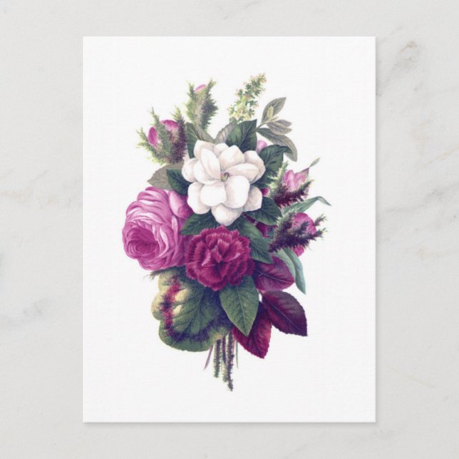 Vintage Purple & White Floral Bouquet Postcard (Front)