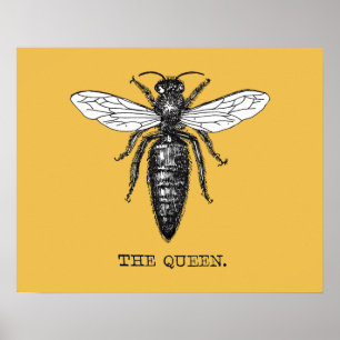 Vintage Queen Bee Illustration Artwork Print