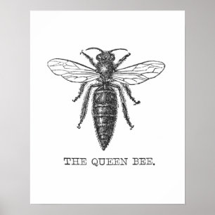 Vintage Queen Bee Illustration Poster