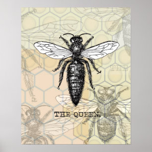 Vintage Queen Bee Illustration Poster