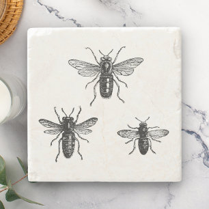 Vintage Queen Bee & Working Bees Illustration Stone Coaster
