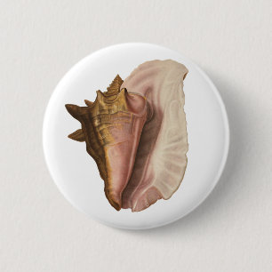 Vintage Queen Conch Seashell Shell, Marine Animal 2 Inch Round Button