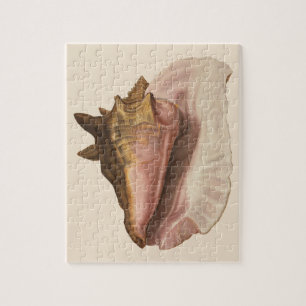 Vintage Queen Conch Seashell Shell, Marine Animal Jigsaw Puzzle