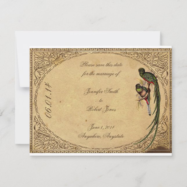 Vintage Quetzal Bird Elegant Enregistrer la carte  (Devant)