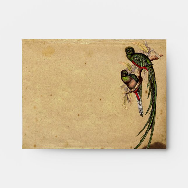 Vintage Quetzal Bird Elegant RSVP Response Envelopes (Front)