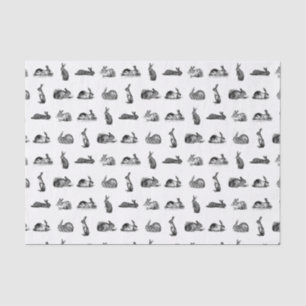 Vintage Rabbit Bunnies Art CUSTOM BACKGROUND COLOR Tissue Paper