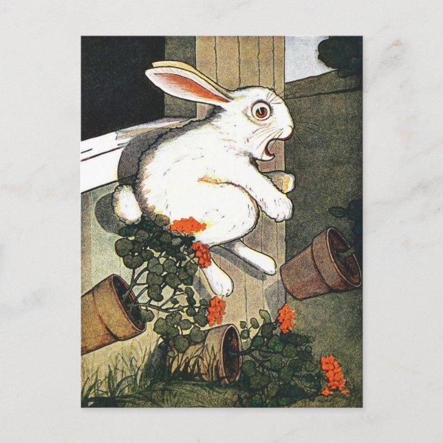 Vintage Rabbit Children's Book Illustration  Postcard (Front)