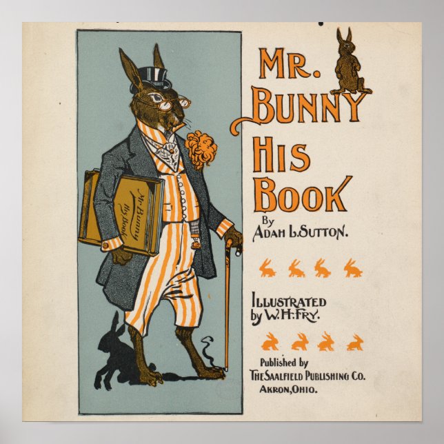 Vintage Rabbit Children's Book Illustration  Poster (Front)